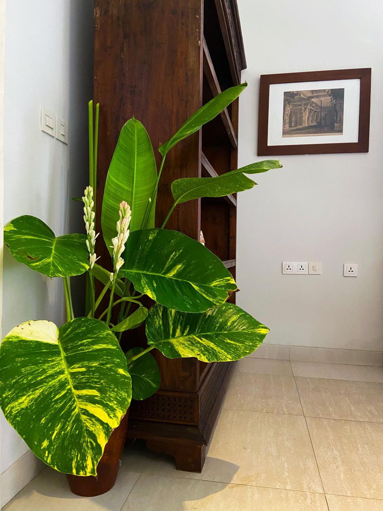 Raaga Samudra Villa Padangbai  Exterior photo